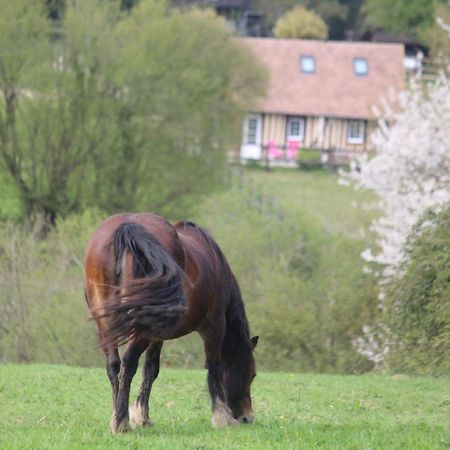 Gite A la petite Bretonnière Saint-Pierre-Des-Ifs  Esterno foto