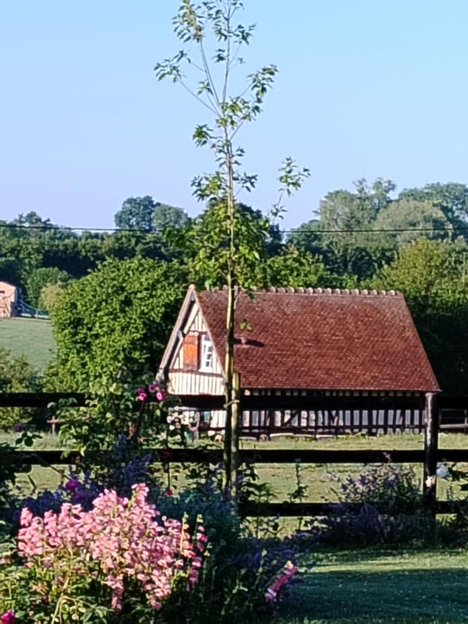 Gite A la petite Bretonnière Saint-Pierre-Des-Ifs  Esterno foto